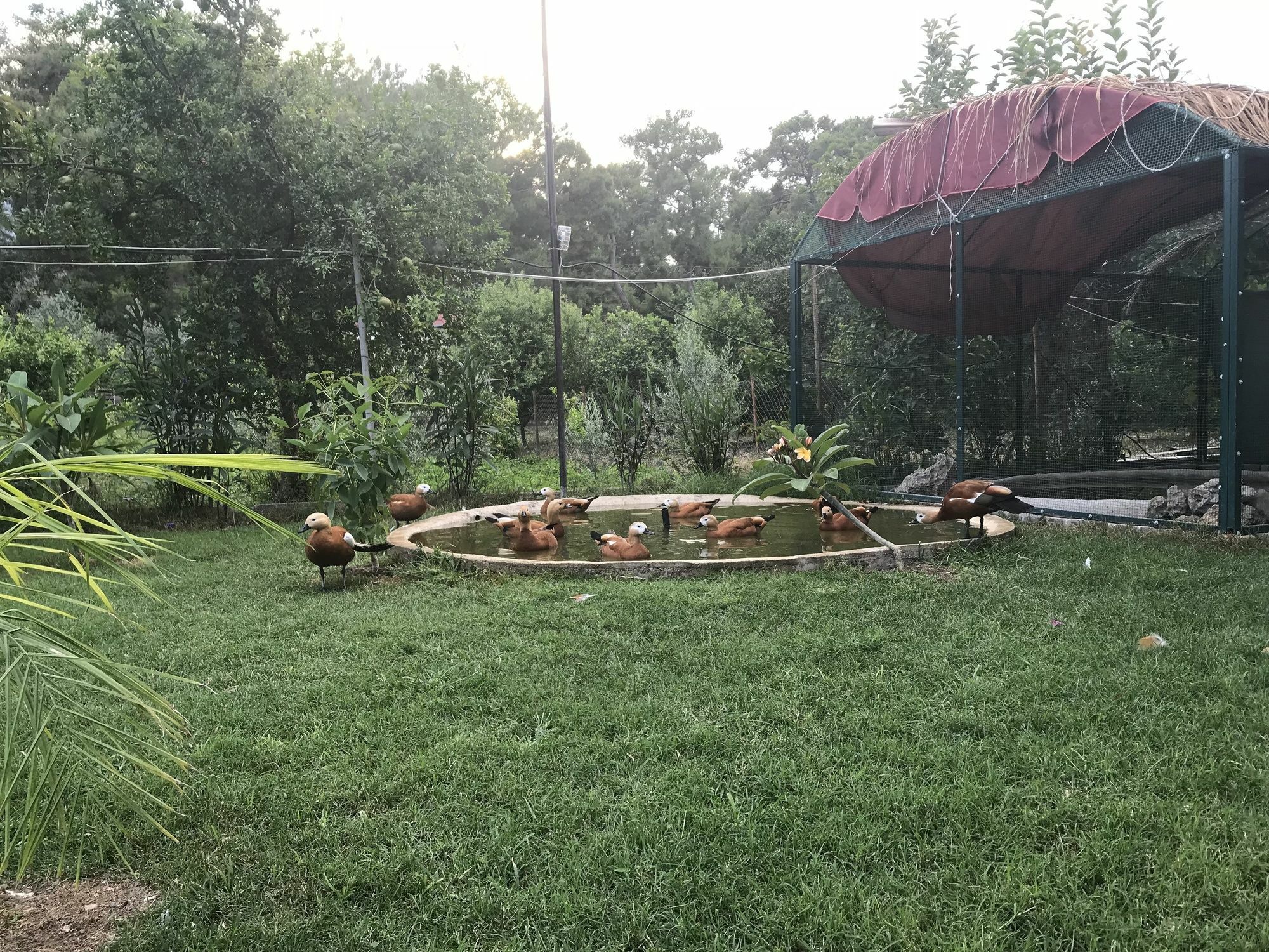 Camyuva Motel Kemer Buitenkant foto